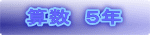 算数 5年